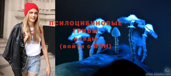 индика Медвежьегорск