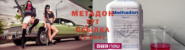 индика Медвежьегорск
