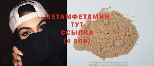 индика Медвежьегорск