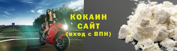шишки Медногорск