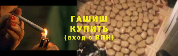 индика Медвежьегорск