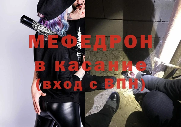 индика Медвежьегорск