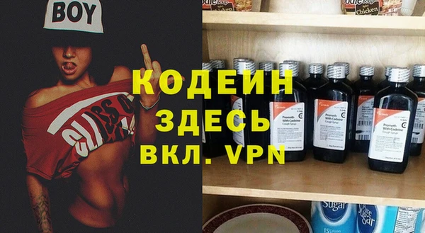 индика Медвежьегорск