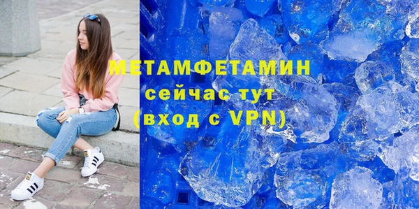 индика Медвежьегорск