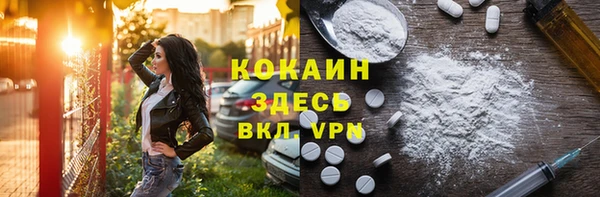 шишки Медногорск