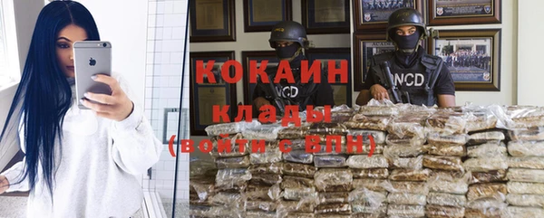 шишки Медногорск