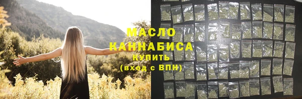 шишки Медногорск