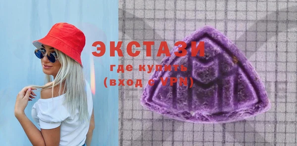 индика Медвежьегорск