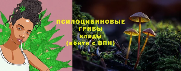 ALPHA-PVP Мегион
