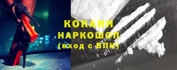 индика Медвежьегорск