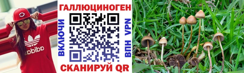 Галлюциногенные грибы ЛСД  Заозёрск 