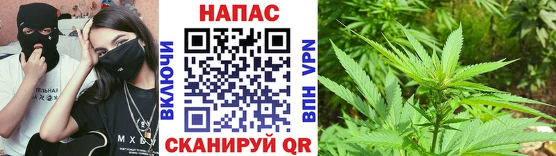 Бошки Шишки конопля  закладки  Заозёрск 